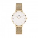 Orologio Donna Daniel Wellinghton Petite Evergold Al quarzo 32mm cassa in Acciaio quadrante Bianco cinturino in Acciaio