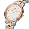 Orologio Donna Daniel Wellinghton Petite Evergold Al quarzo 28mm cassa in Acciaio quadrante Bianco cinturino in Acciaio