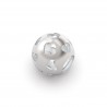 Componente  Donna  Rerum in Argento Argento