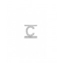 Lettera  Eleonora Giordani C in  Argento con Zirconi