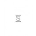 Lettera  Eleonora Giordani S in  Argento con Zirconi