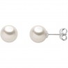 Orecchini da donna di Comete della collezione perle evergreen. ORP711