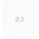 Orecchini Classici Bimbo in Oro Bianco.Collezione Le Bebè I ClassiciAltezza 1 cmLarghezza 0,90 cm