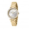 Orologio Donna Chiara Ferragni Collezione Lady Like Cassa 32mm con Zirconi Bianchi Quadrante Argento Cinturino in Oro Giallo